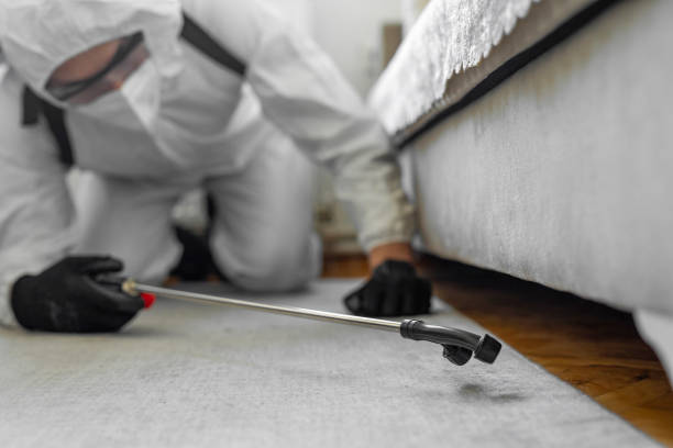 Professional Bed Bug Control technician working in Wheatland, WY