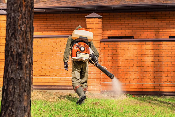 Trusted Termite Control service in Wheatland, WY - Nex Pest Control